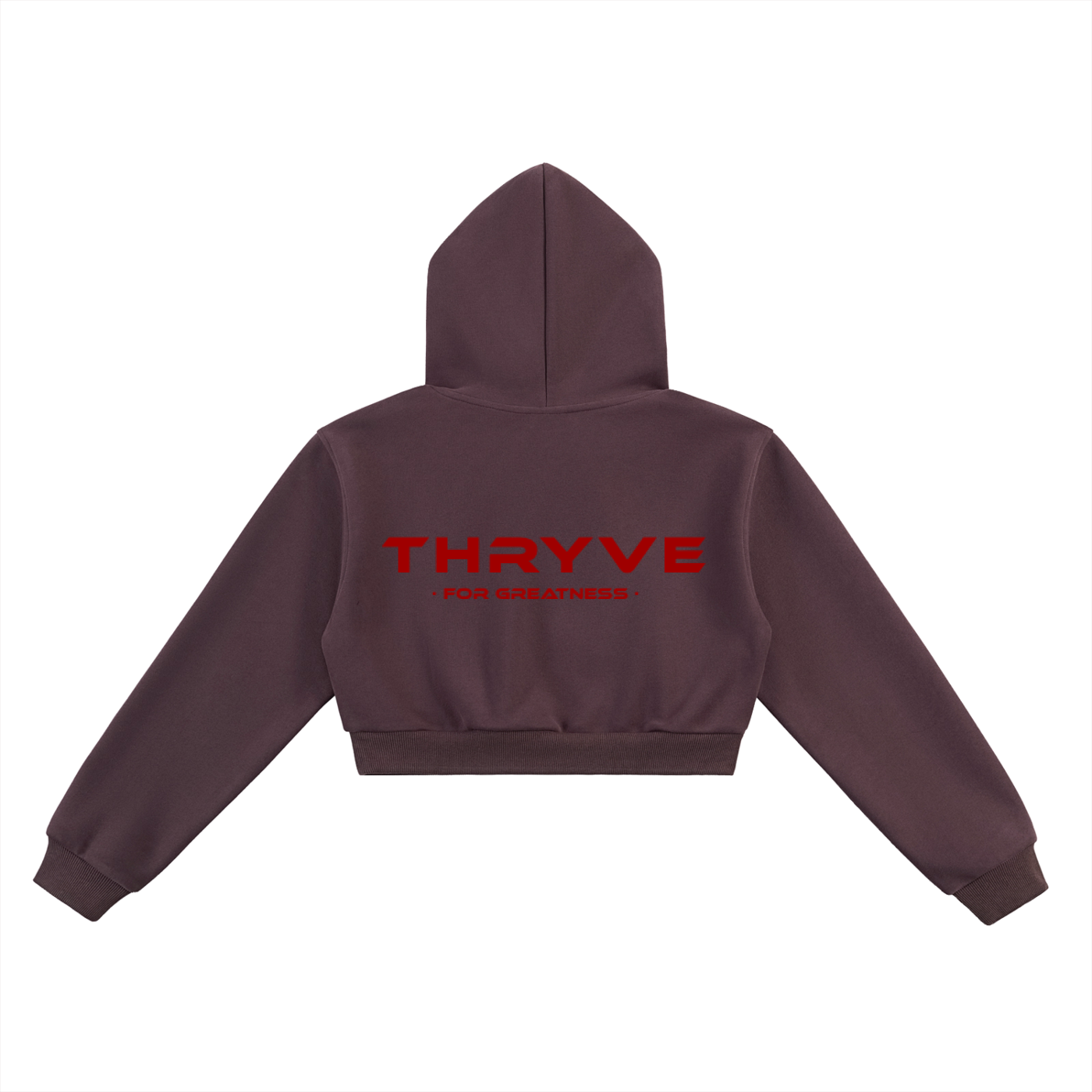 Origin Cropped Hoodie